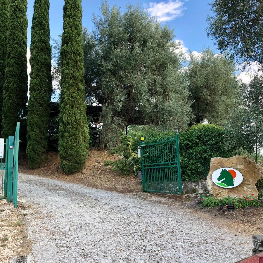 Agriturismo Poggio Del Drago Montemerano Exterior foto