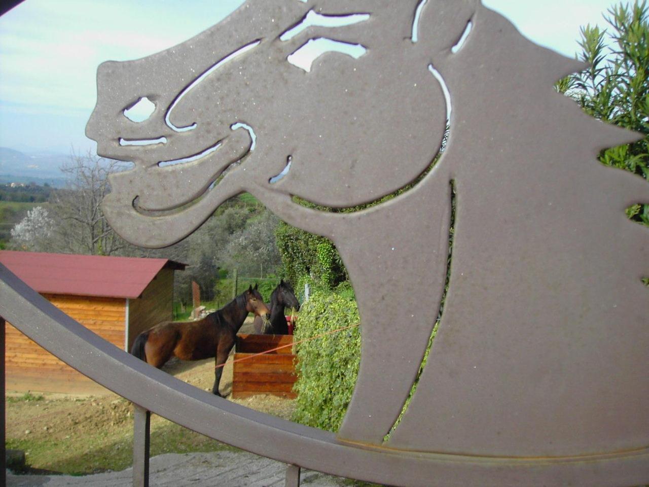 Agriturismo Poggio Del Drago Montemerano Exterior foto