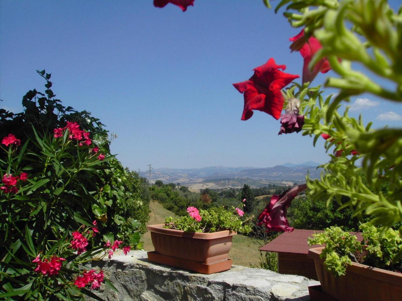 Agriturismo Poggio Del Drago Montemerano Exterior foto